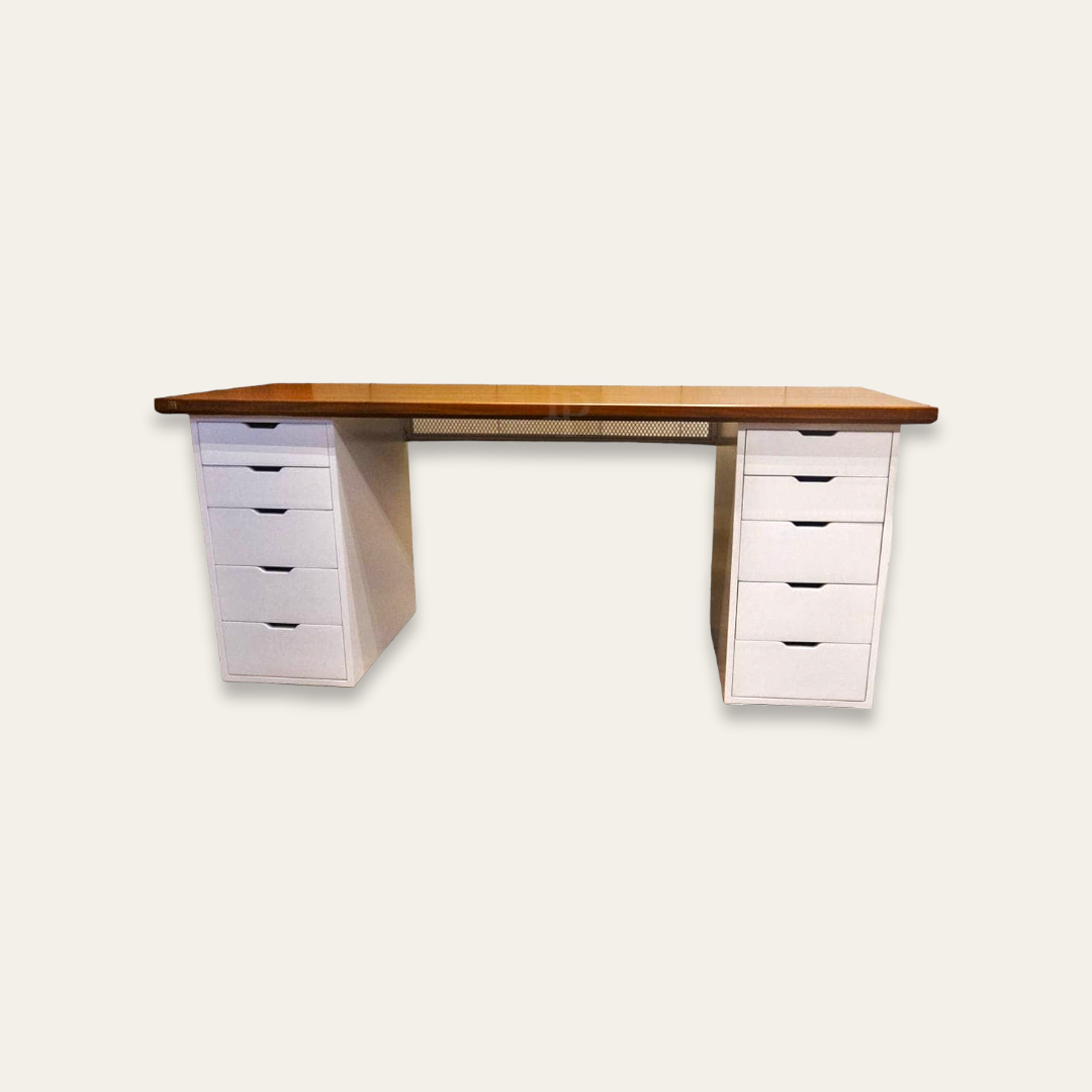 DINO DESK WITH STORAGE